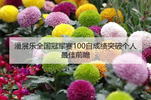 潘展乐全国冠军赛100自成绩突破个人最佳前瞻