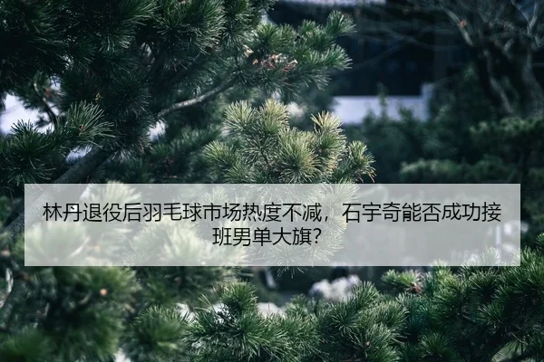 lin-dan-tui-yi-hou-yu-mao-qiu-shi-chang-re-du-bu-jian-shi-yu-qi-neng-fou-cheng-gong-jie-ban-nan-dan-da-qi-2-881.jpg